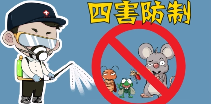 蚊鼠蝇蟑应对攻略请收好